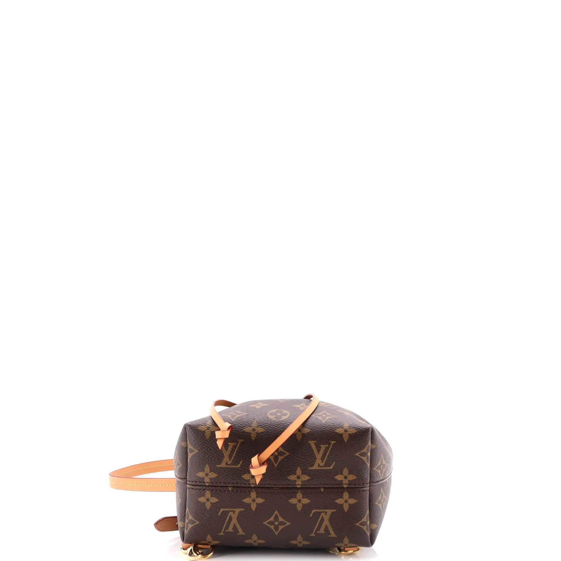 Montsouris NM Backpack Monogram Canvas BB