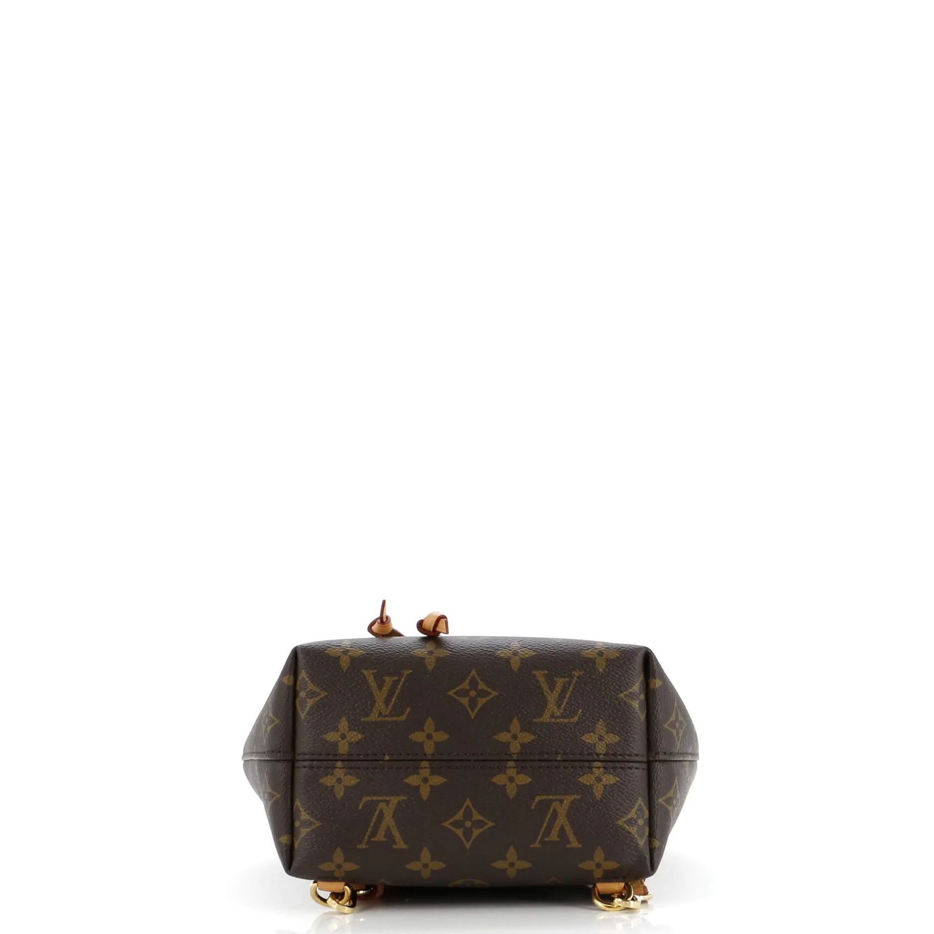 Montsouris NM Backpack Monogram Canvas with Leather BB