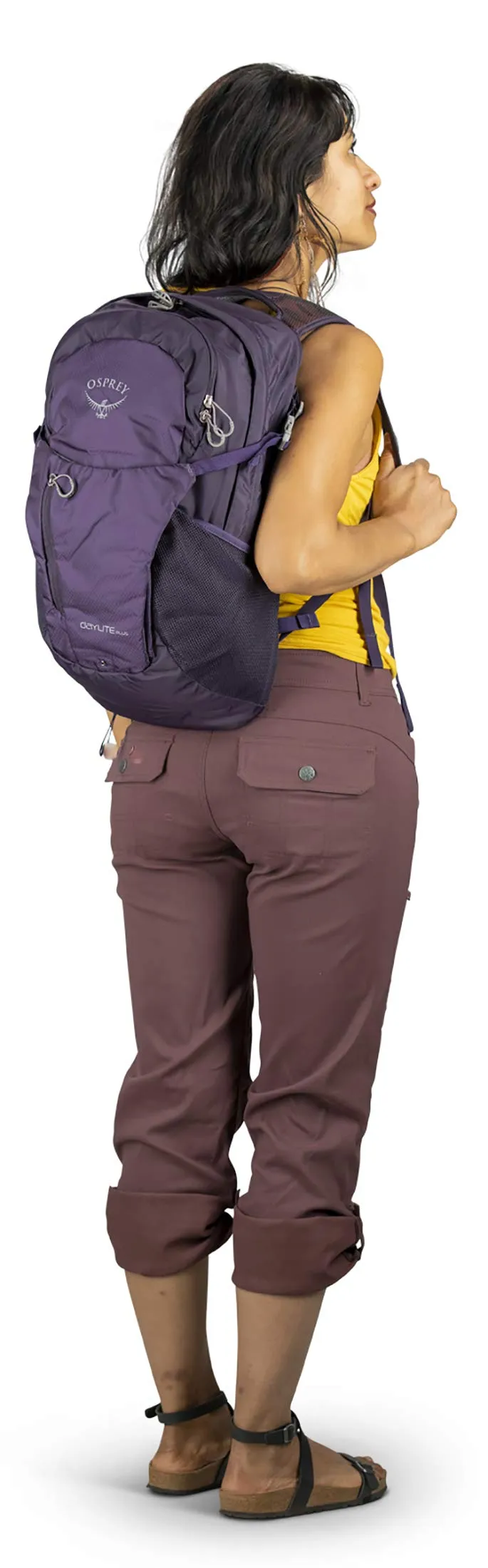 Osprey Packs Daylite Plus