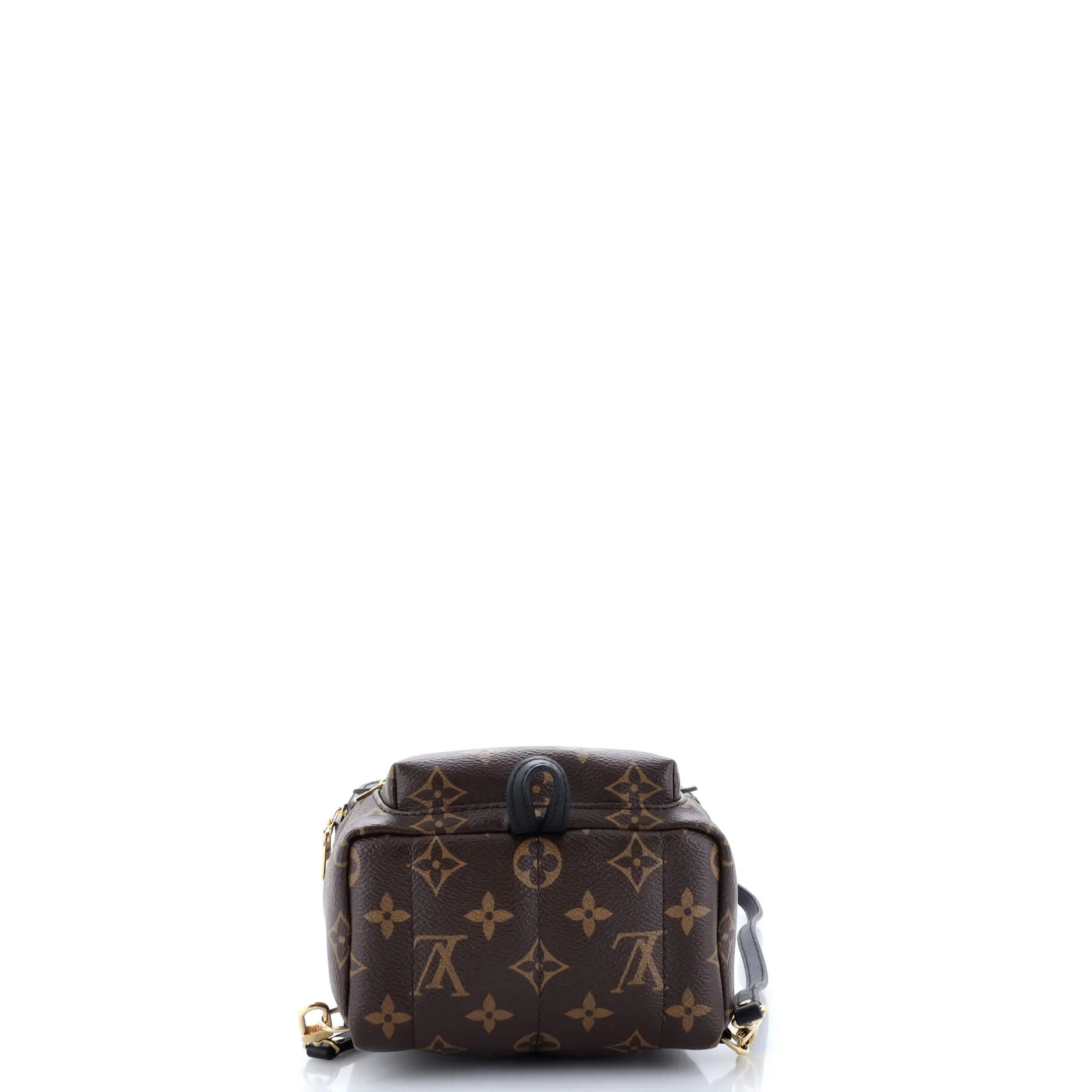 Palm Springs Backpack Monogram Canvas Mini