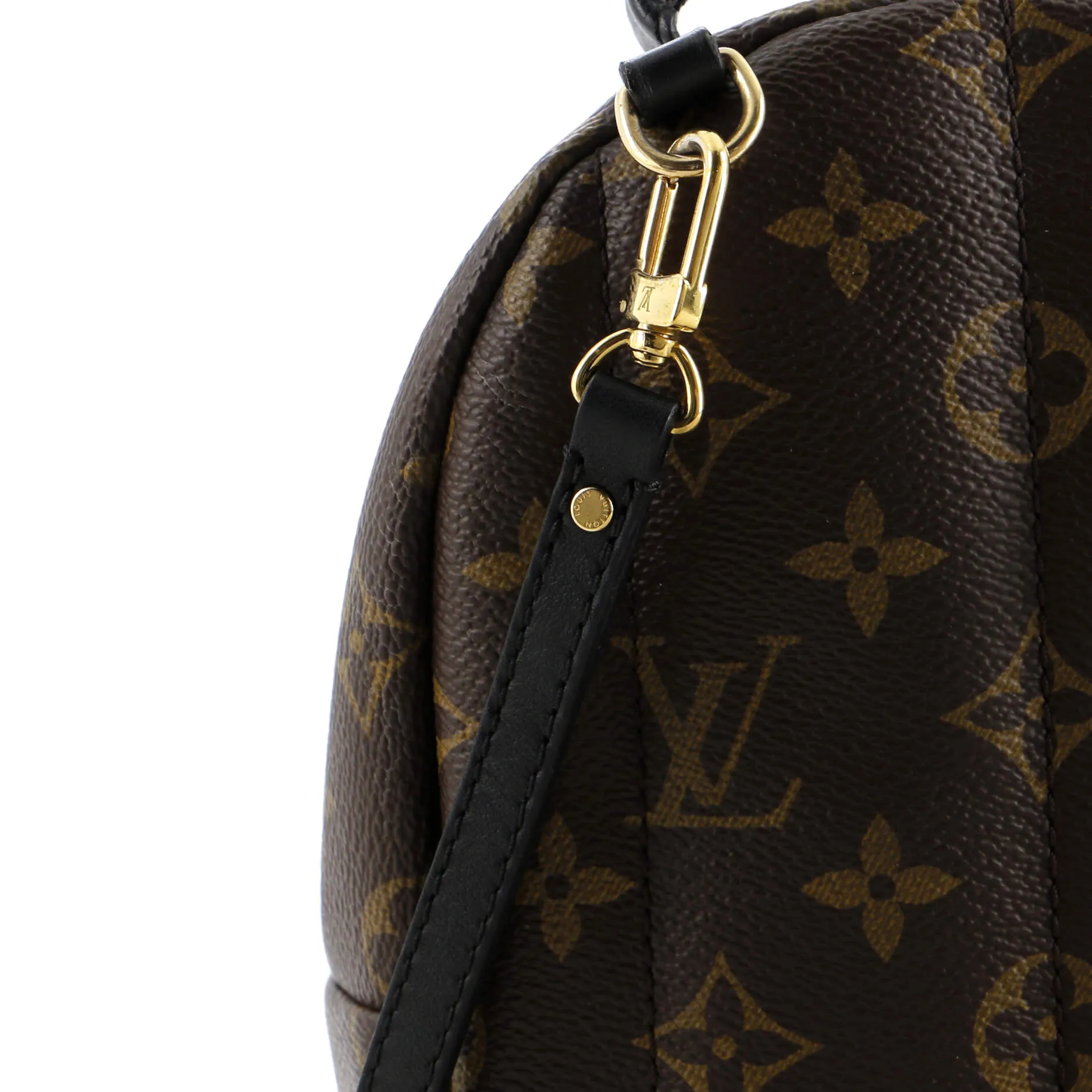 Palm Springs Backpack Monogram Canvas Mini