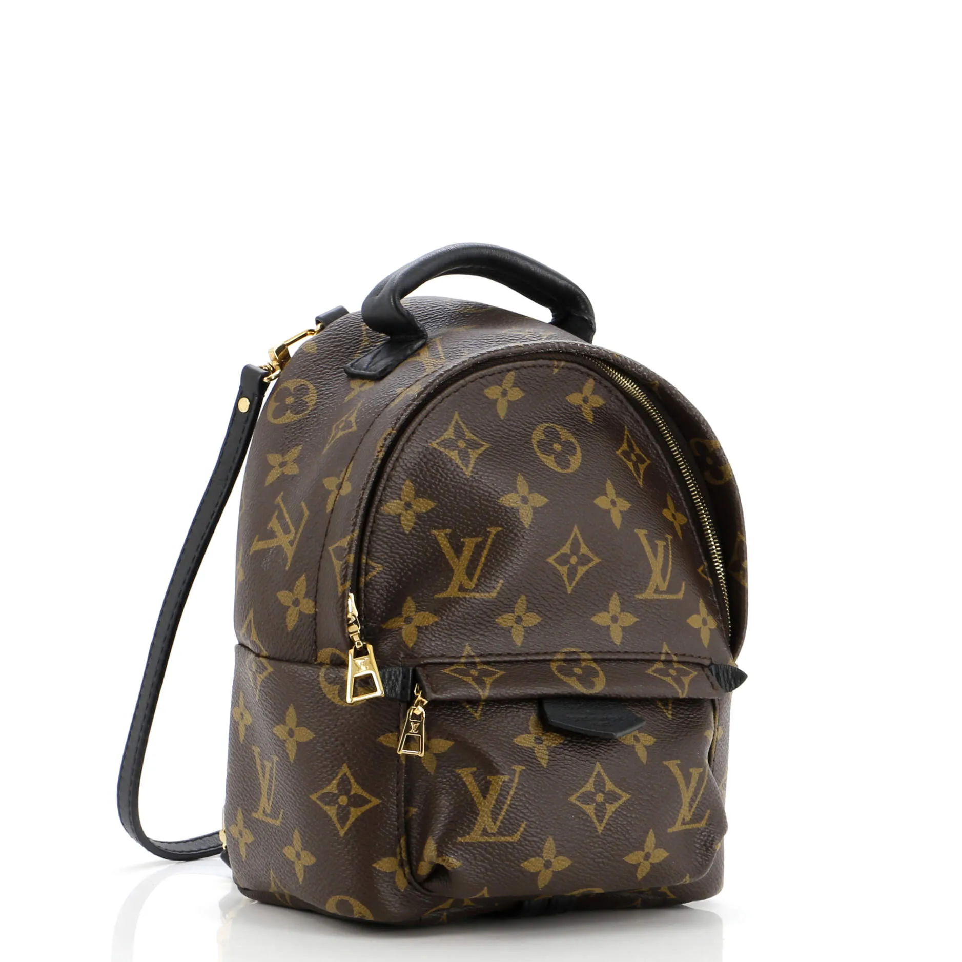 Palm Springs Backpack Monogram Canvas Mini