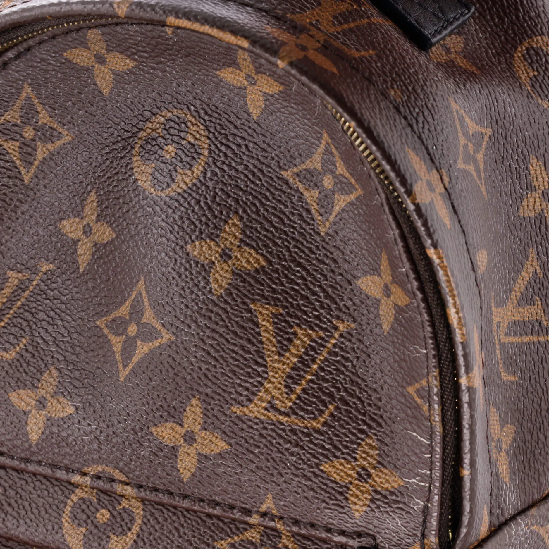 Palm Springs Backpack Monogram Canvas Mini