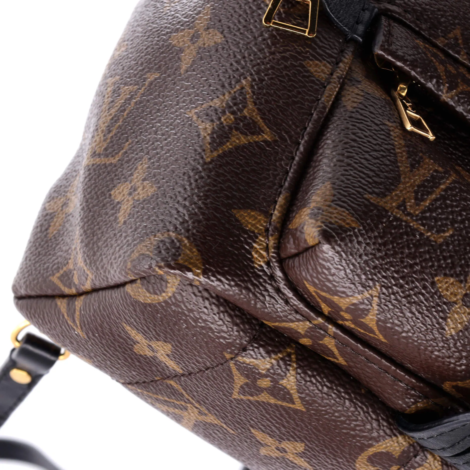 Palm Springs Backpack Monogram Canvas Mini