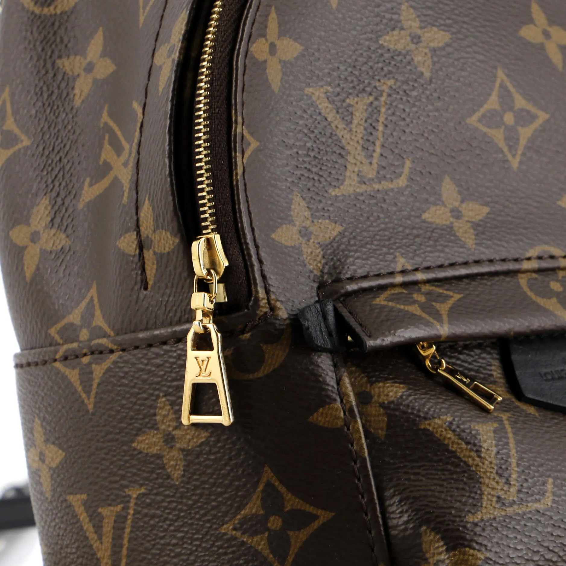 Palm Springs Backpack Monogram Canvas Mini