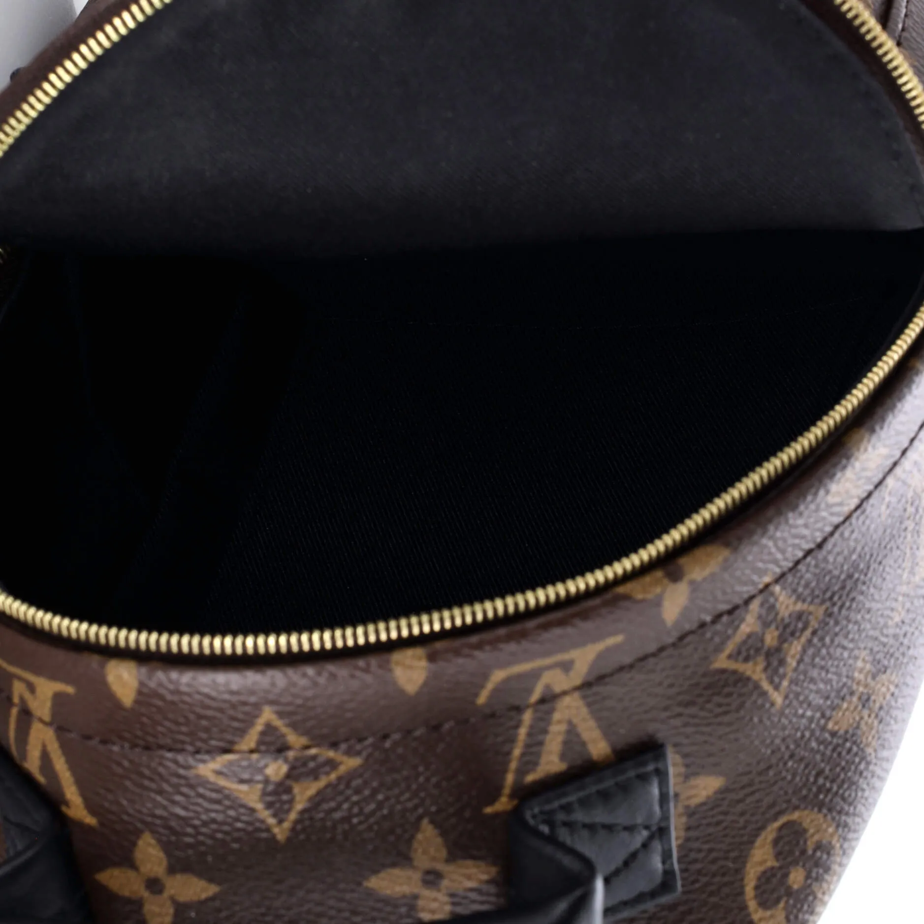 Palm Springs Backpack Monogram Canvas Mini