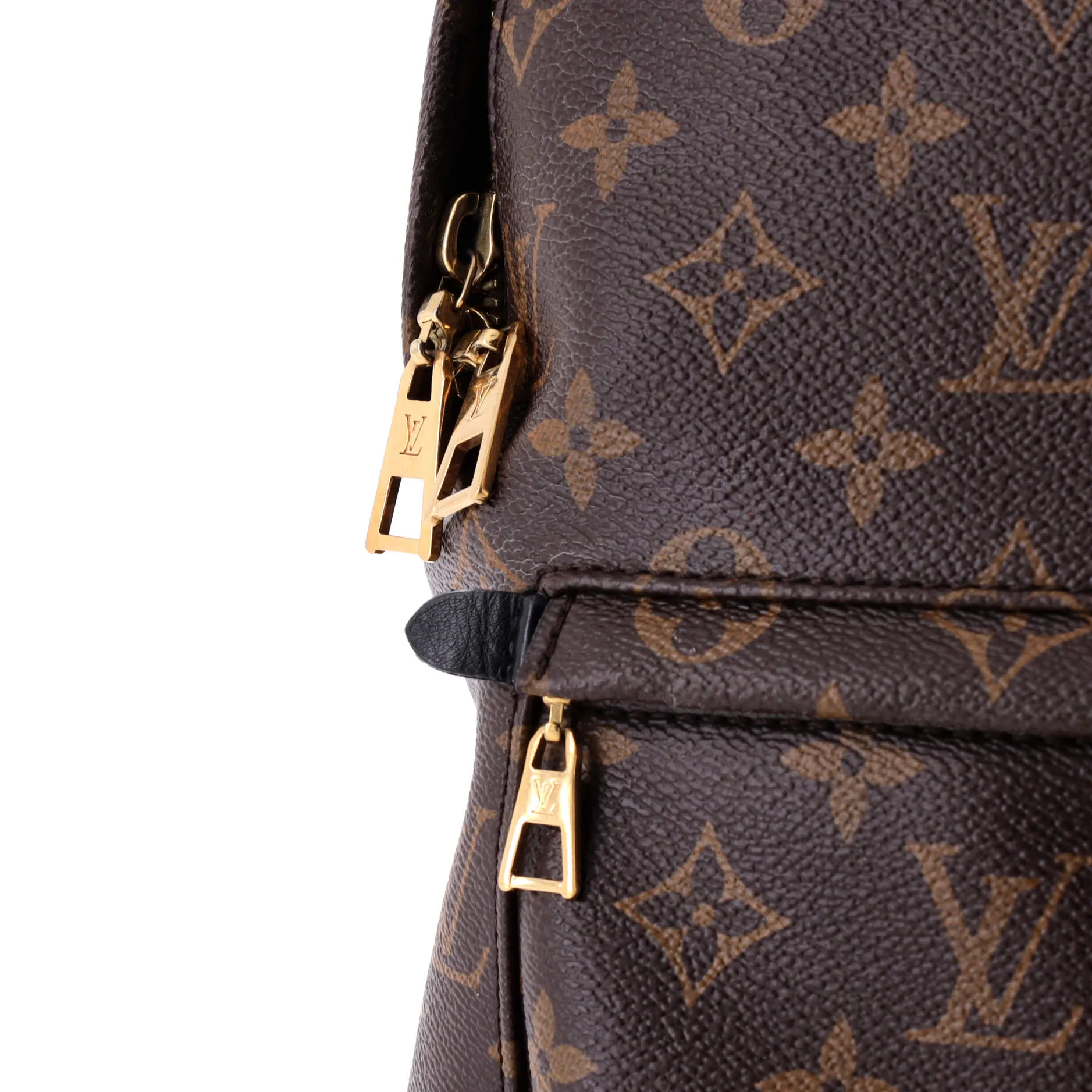 Palm Springs Backpack Monogram Canvas MM