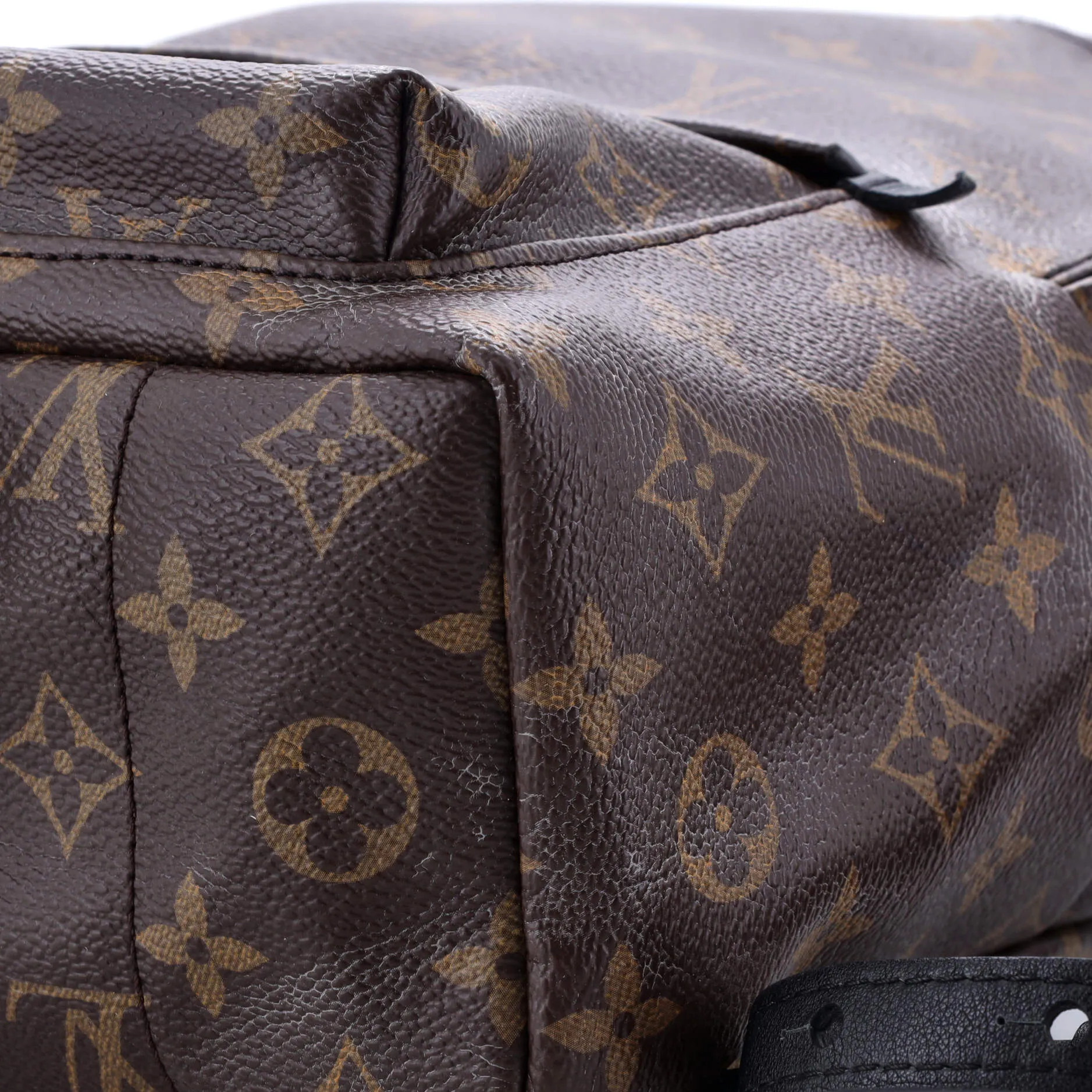 Palm Springs Backpack Monogram Canvas PM