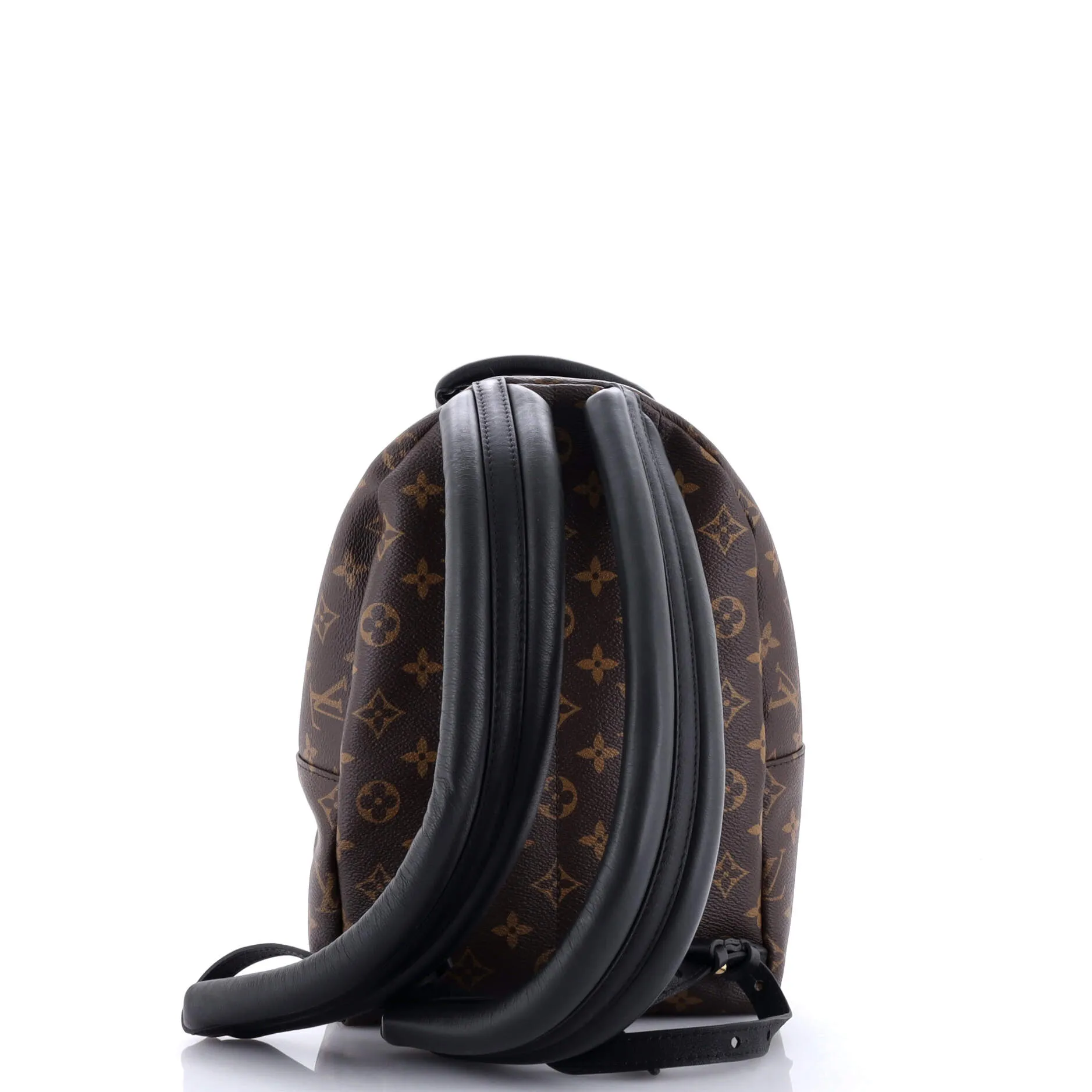 Palm Springs Backpack Monogram Canvas PM