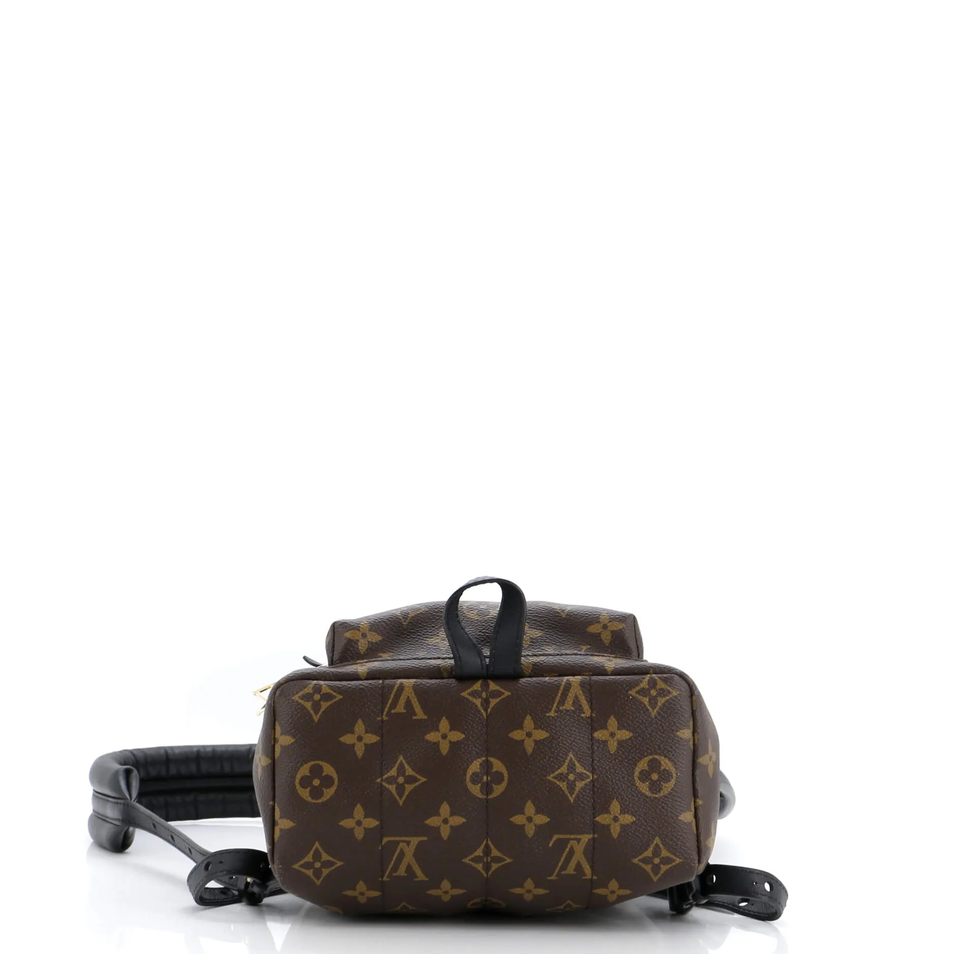 Palm Springs Backpack Monogram Canvas PM