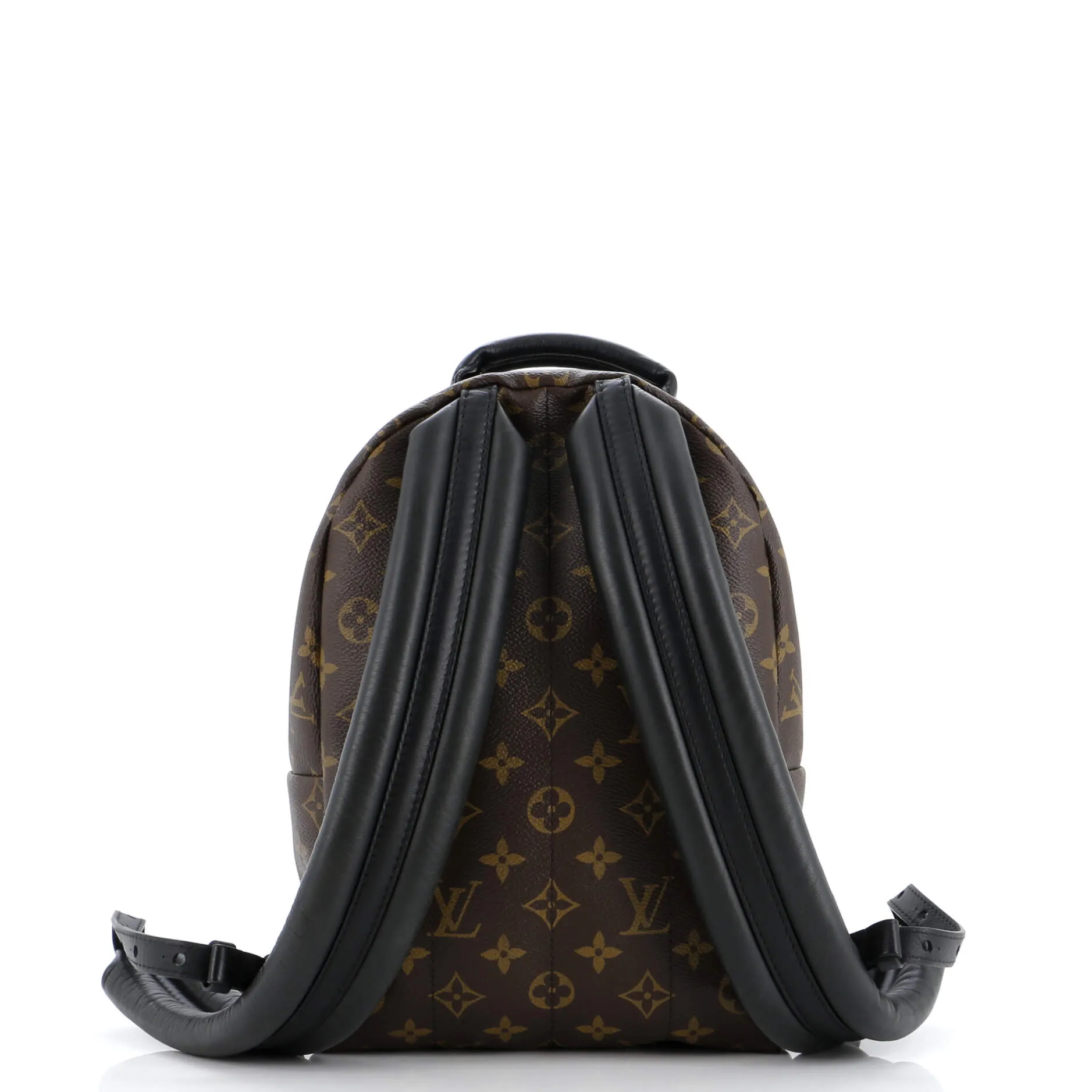 Palm Springs Backpack Monogram Canvas PM