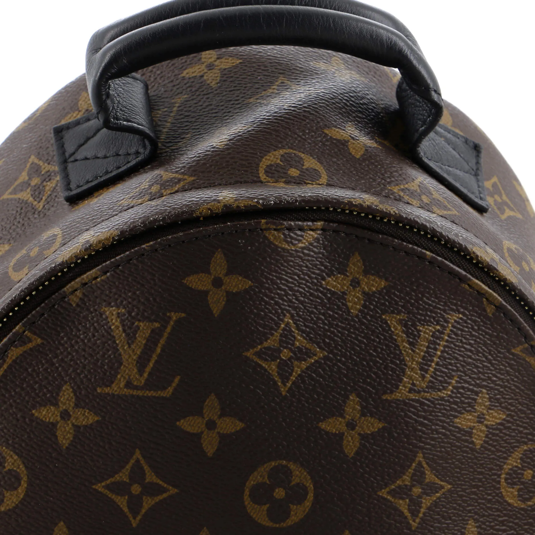 Palm Springs Backpack Monogram Canvas PM