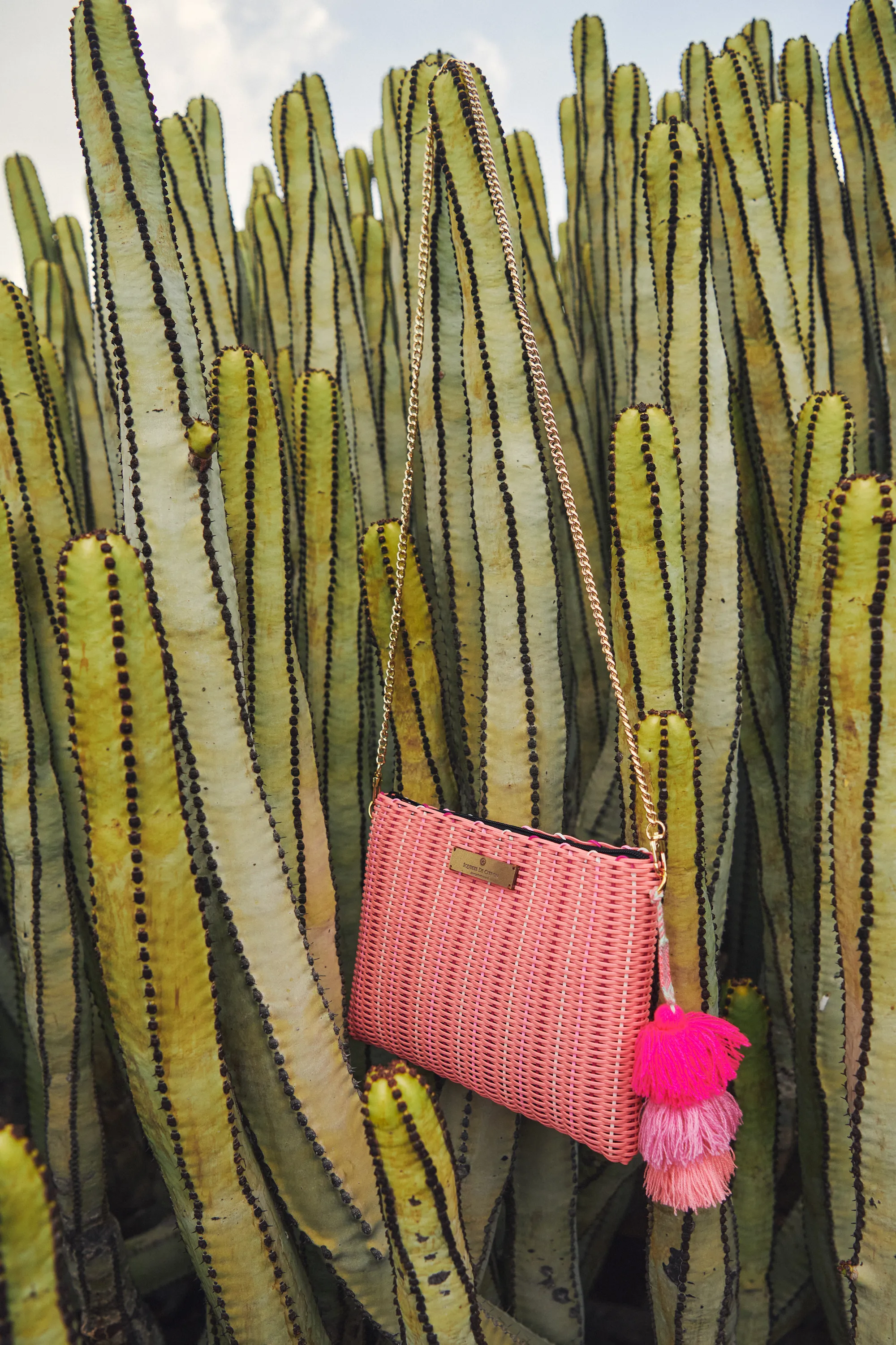 Pink Cay Bag