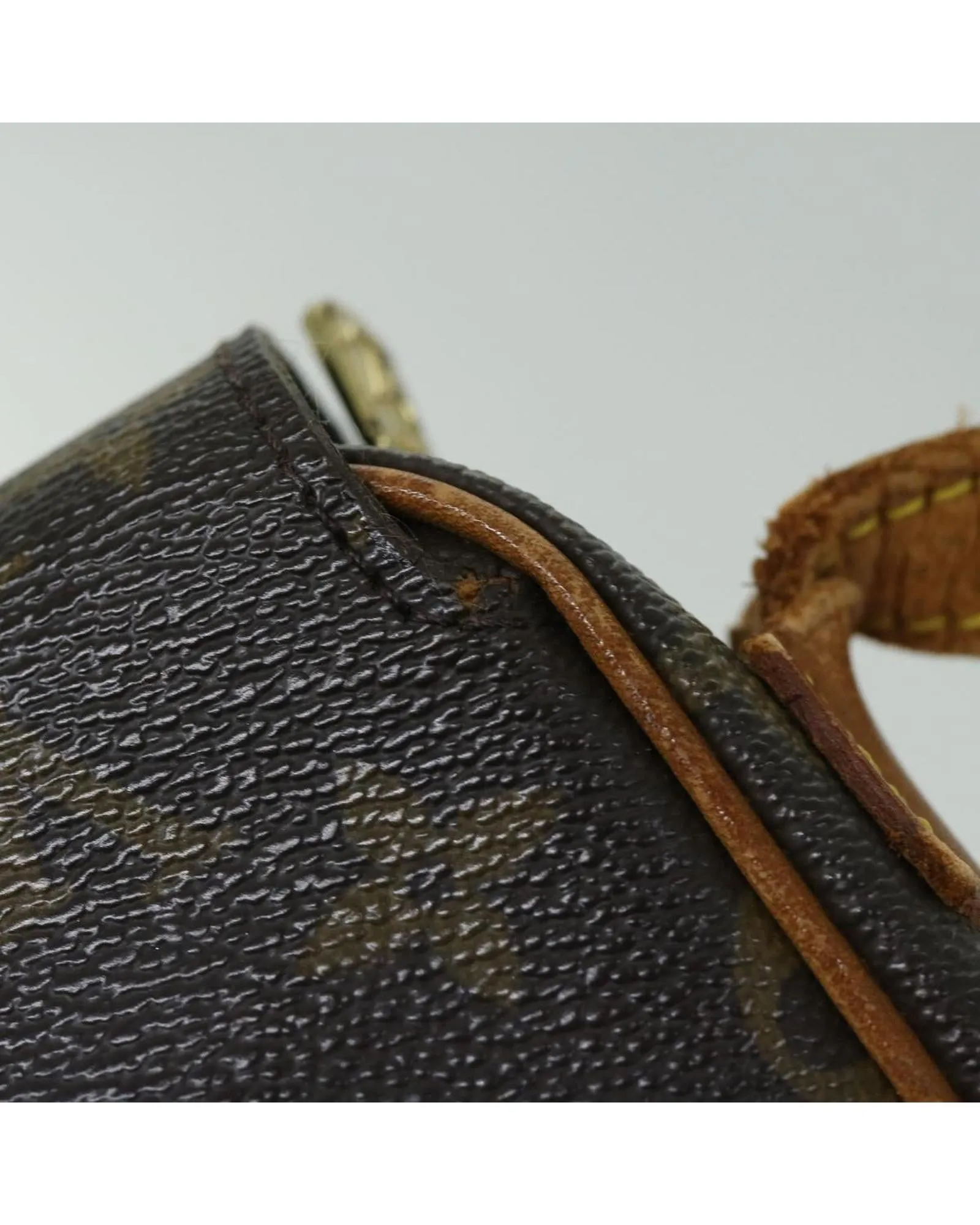Pochette Croissant Monogram Shoulder Bag