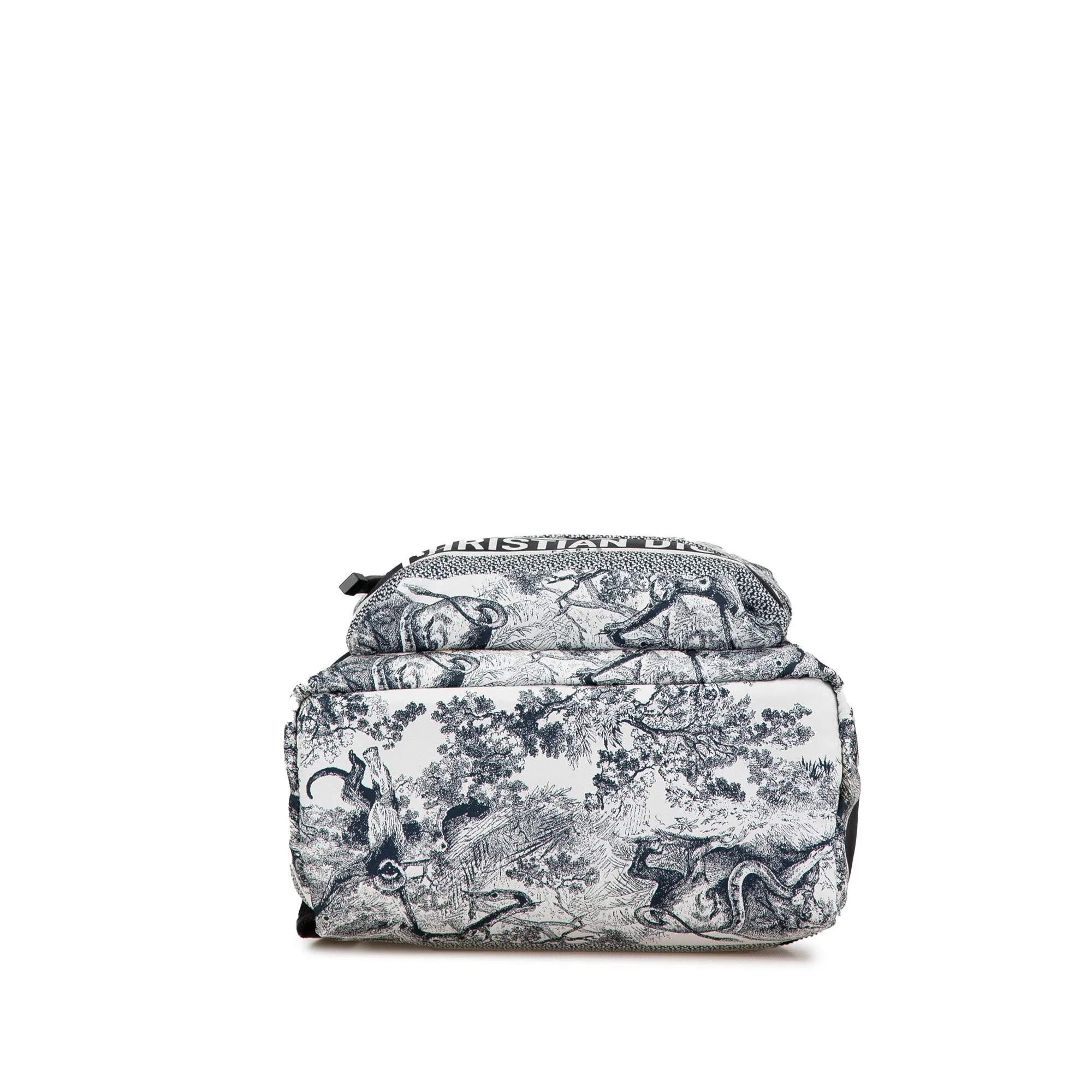 Small Nylon Technical Fabric Toile De Jouy Diortravel Backpack