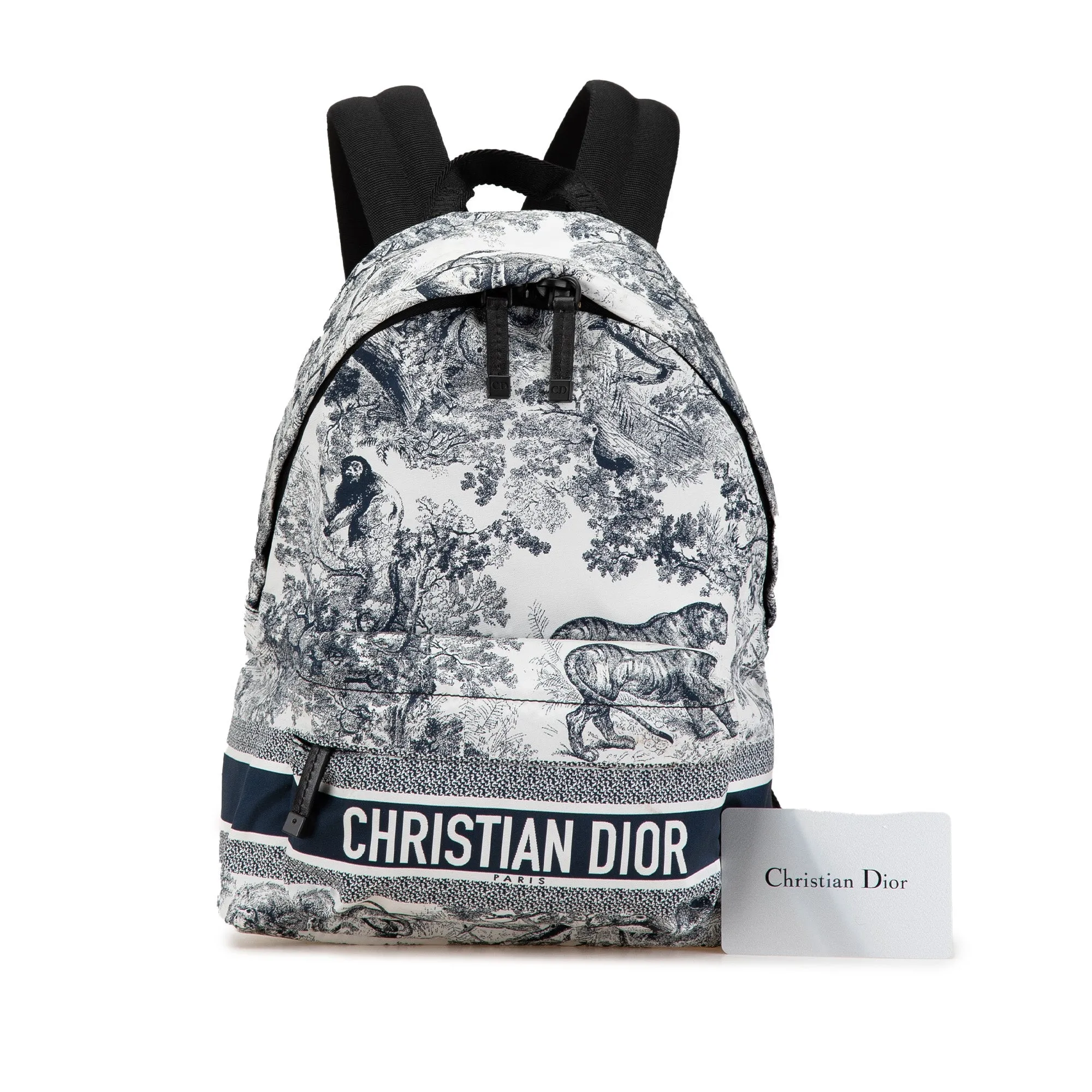 Small Nylon Technical Fabric Toile De Jouy Diortravel Backpack