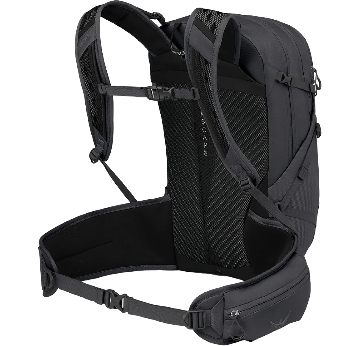 Sportlite 25 EF