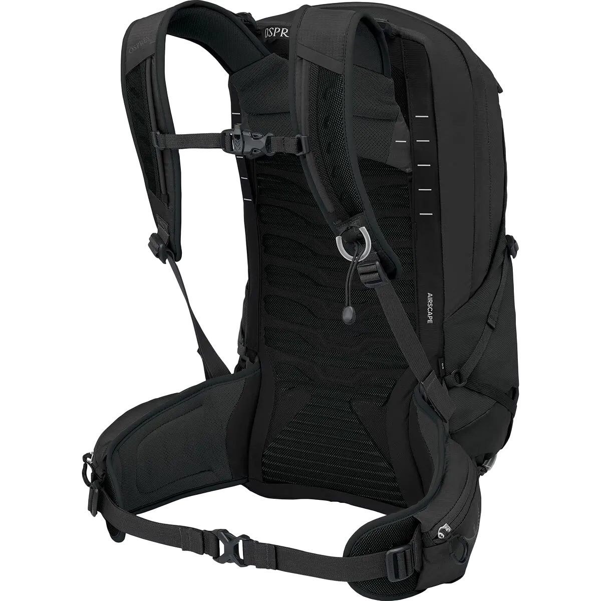 Talon 22