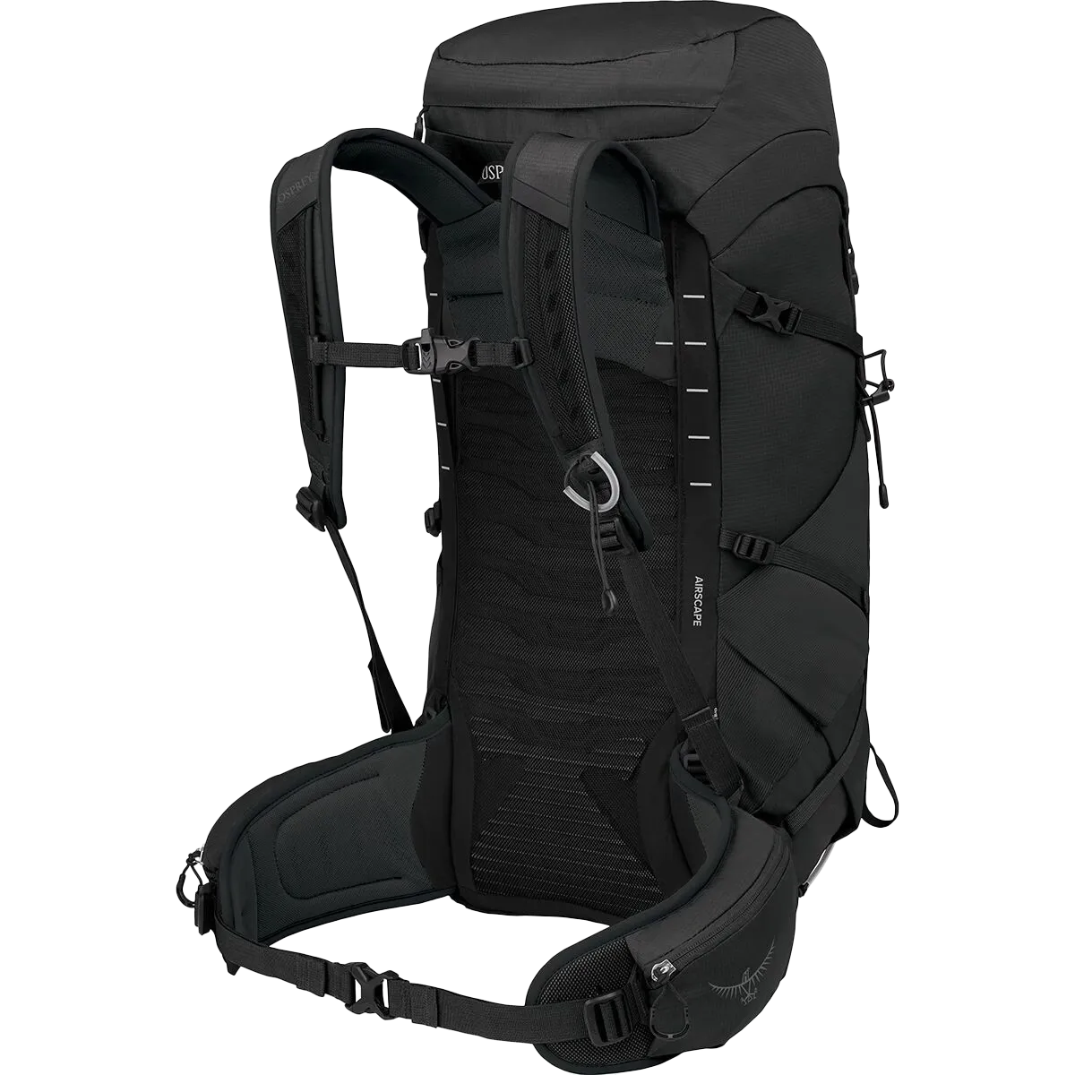 Talon 33