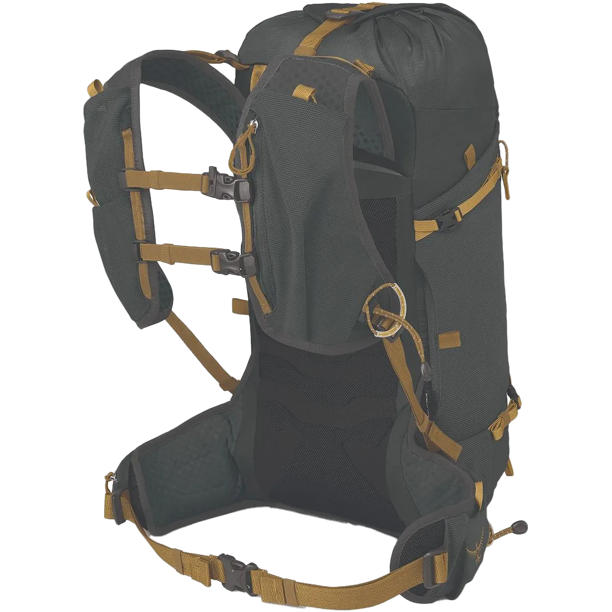 Talon Velocity 20