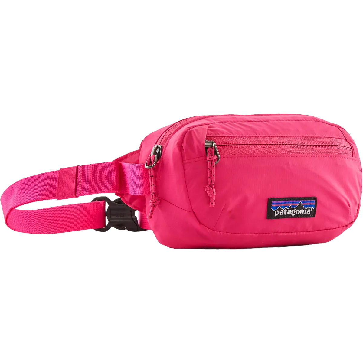 Terravia Mini Hip Pack