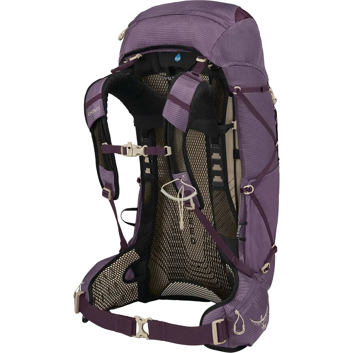 Women's Eja 38