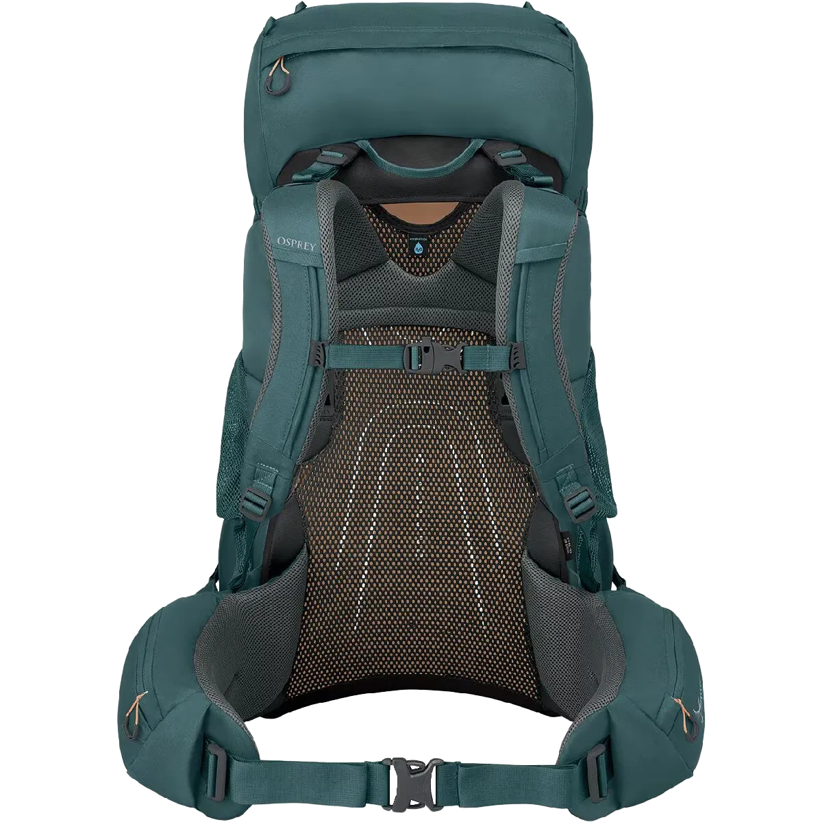 Women's Renn 65L